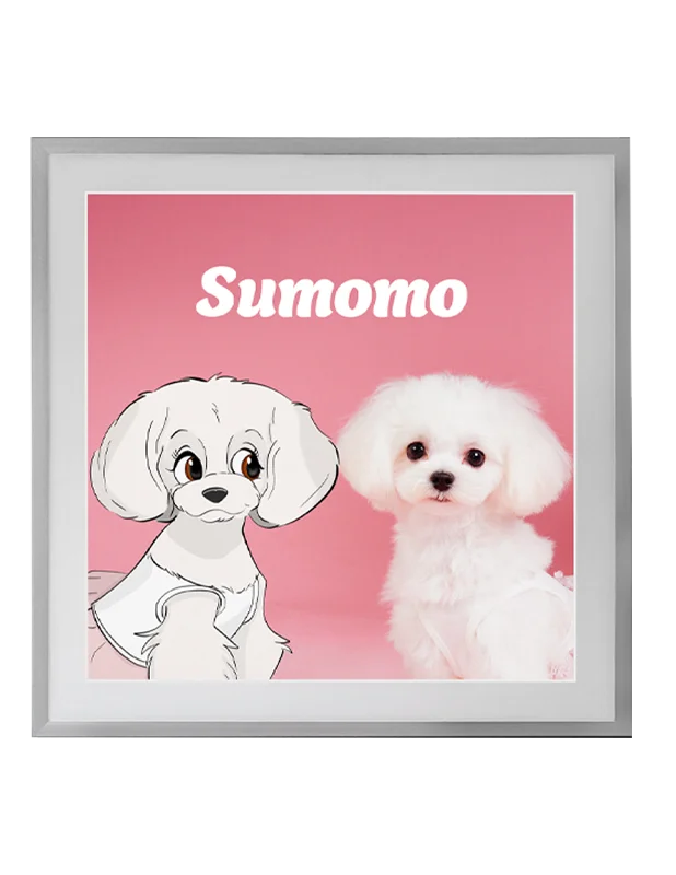 写真と絵｜photo and illust