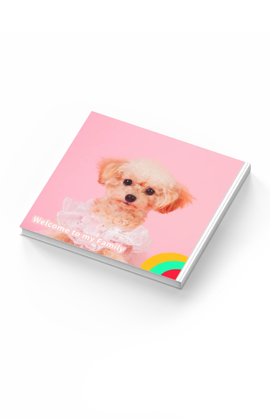 アルバム｜Album