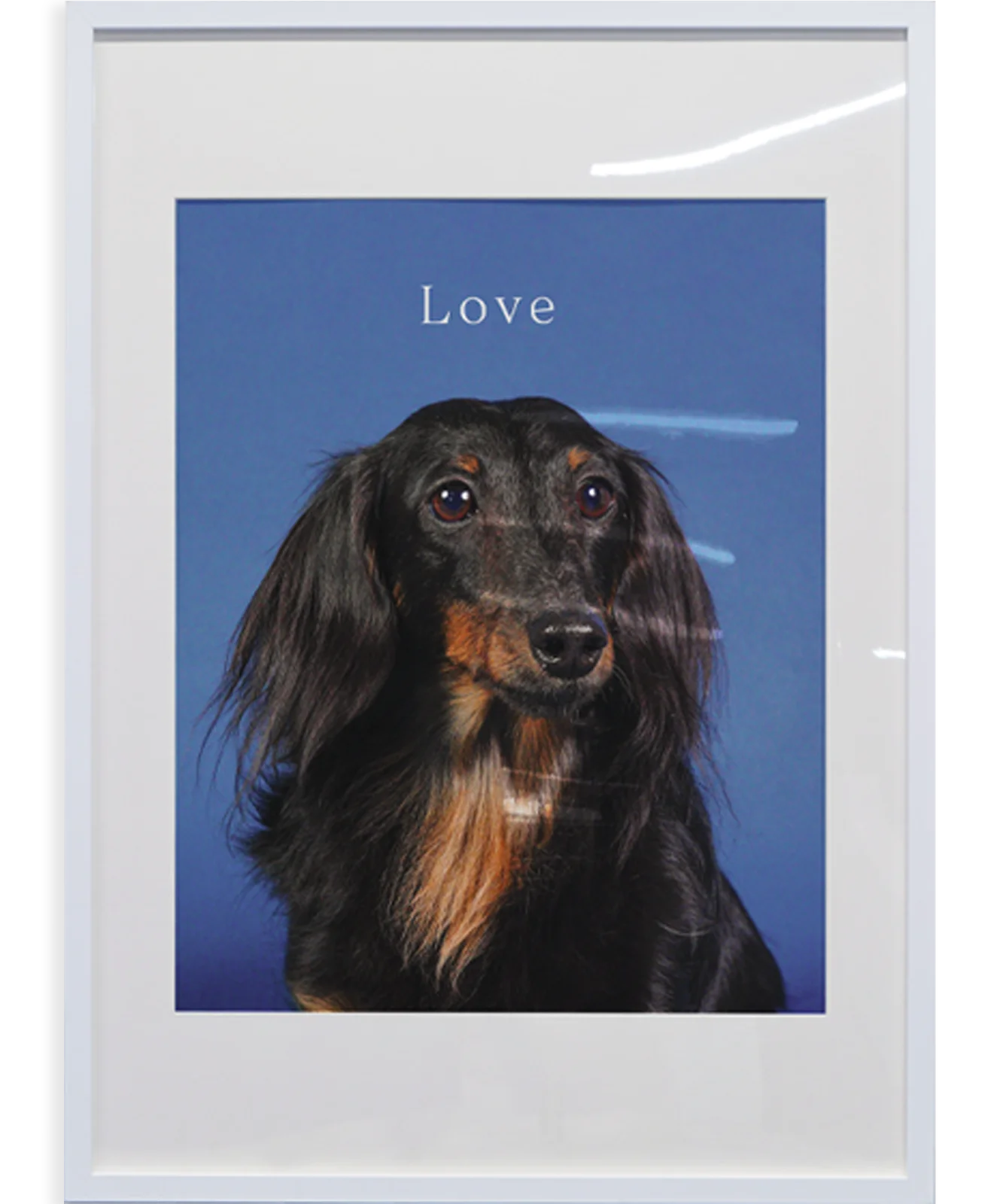 写真プリント | Photo print