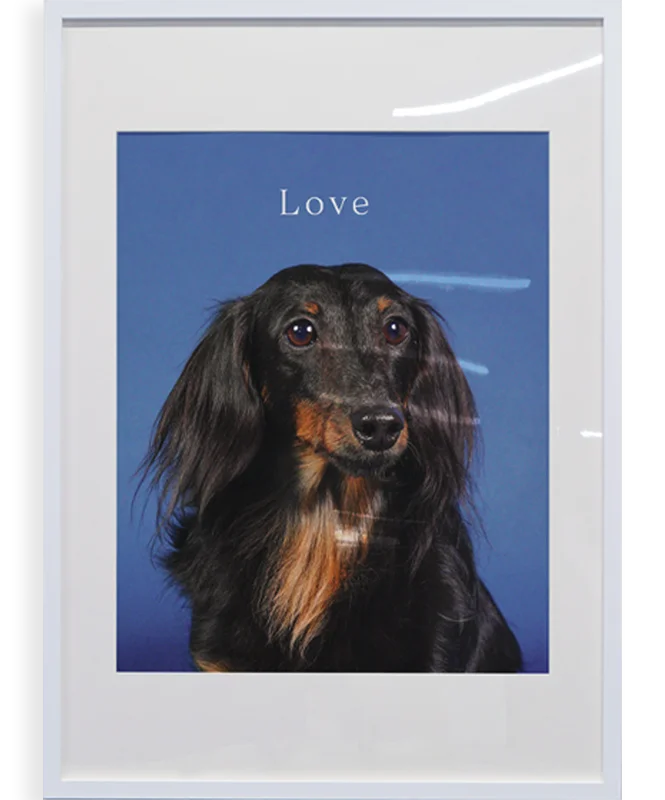 写真プリント | Photo print