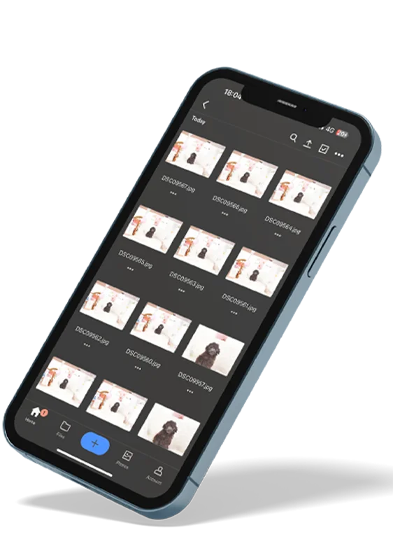 写真データ | Photo Data
