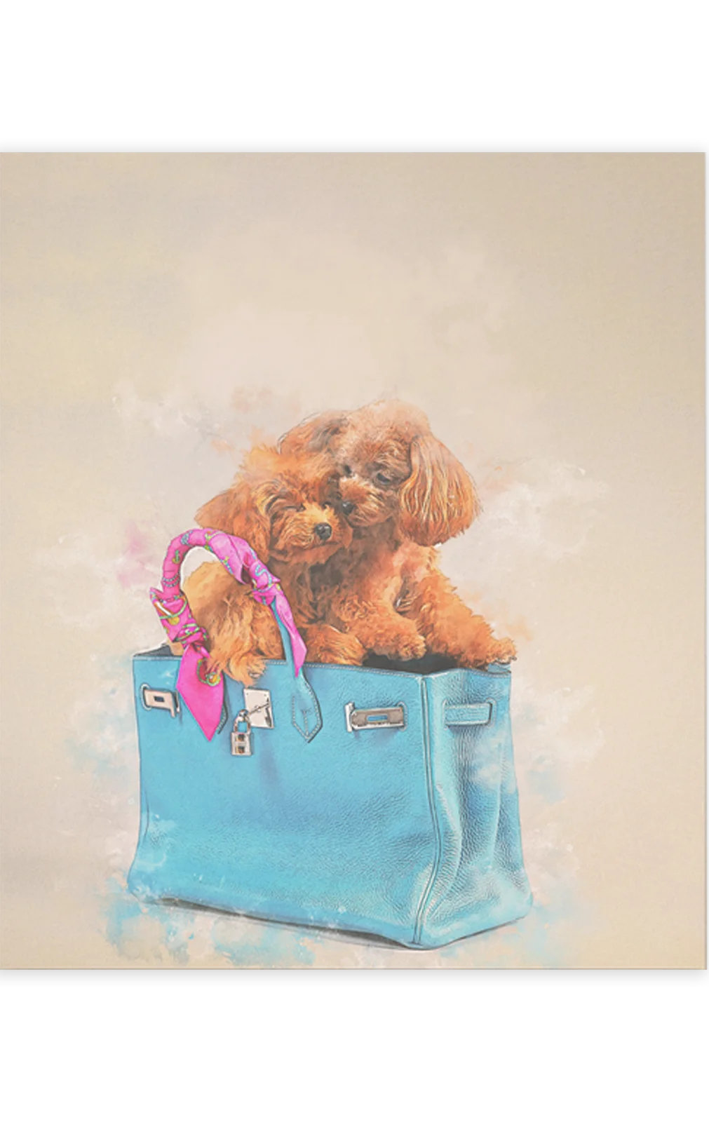 キャンバス｜canvas