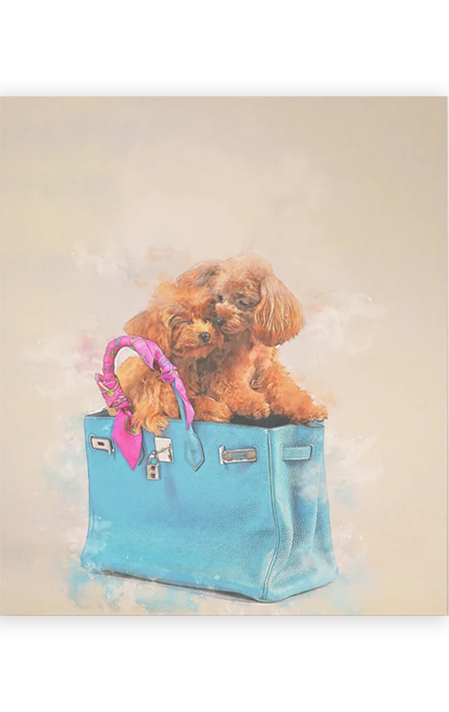 キャンバス｜canvas