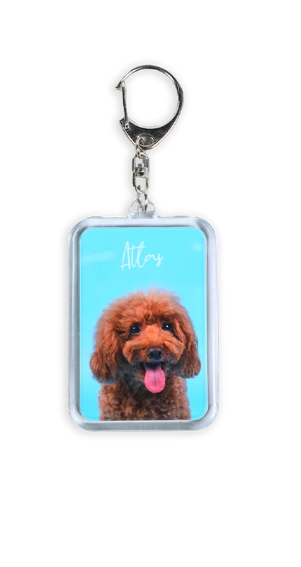 キーホルダー｜Keyholder