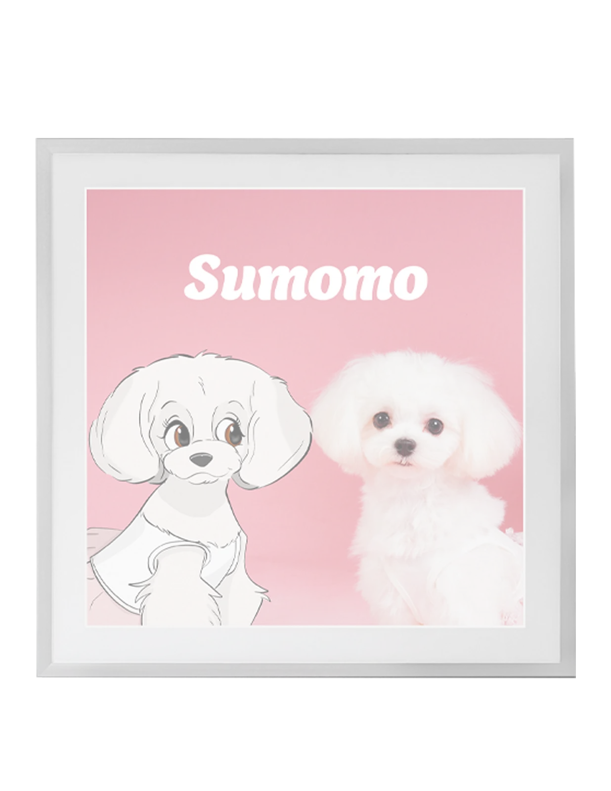 写真と絵｜photo and illust