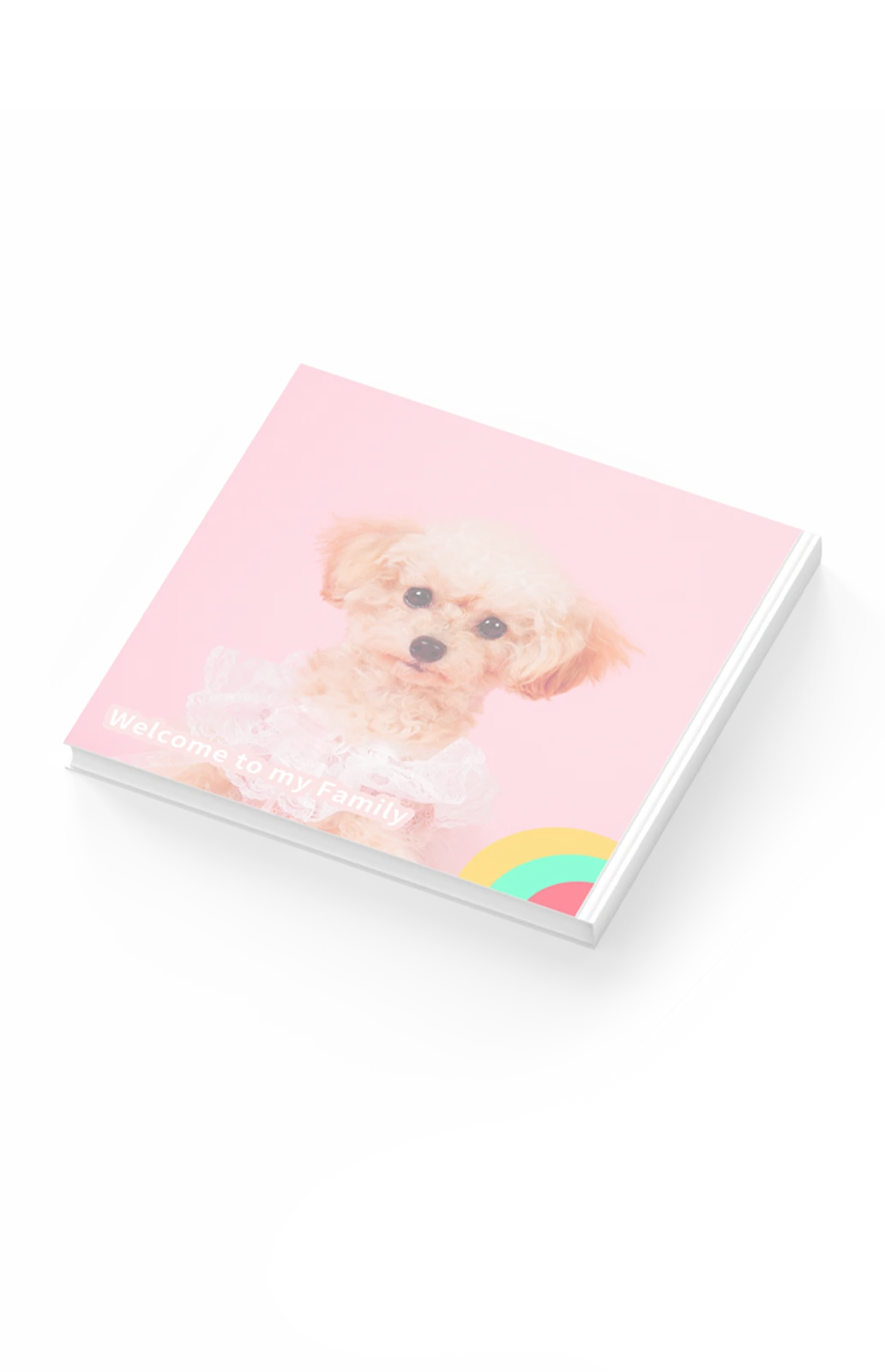 アルバム｜Album