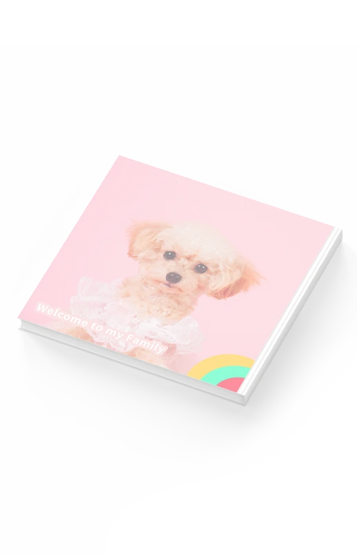 アルバム｜Album