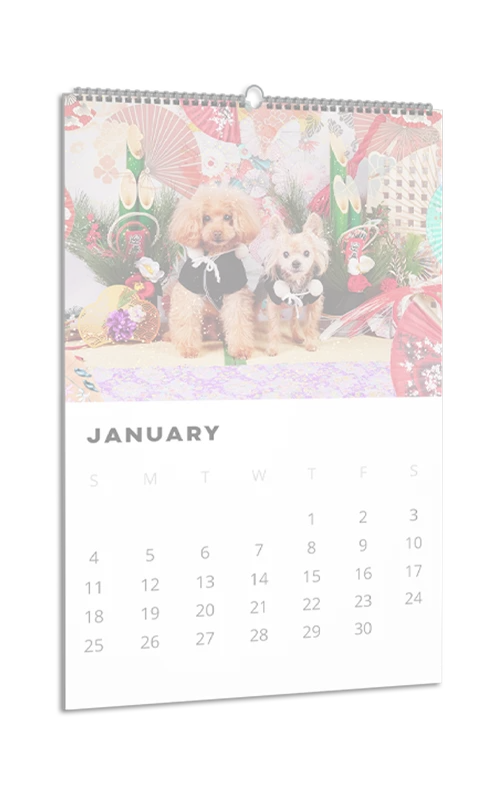 カレンダー｜Calendar