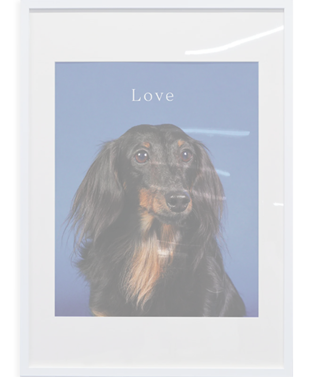 写真プリント | Photo print