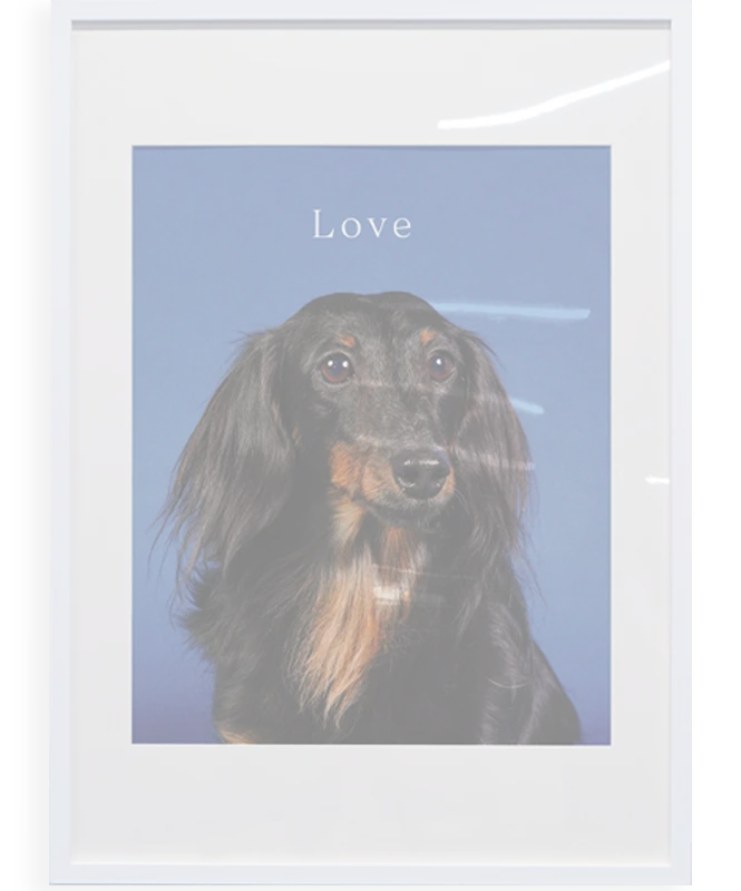 写真プリント | Photo print