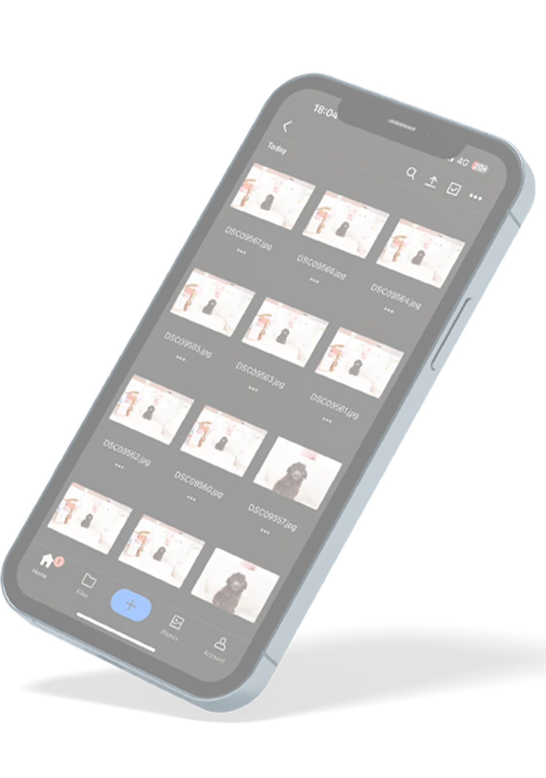 写真データ | Photo Data