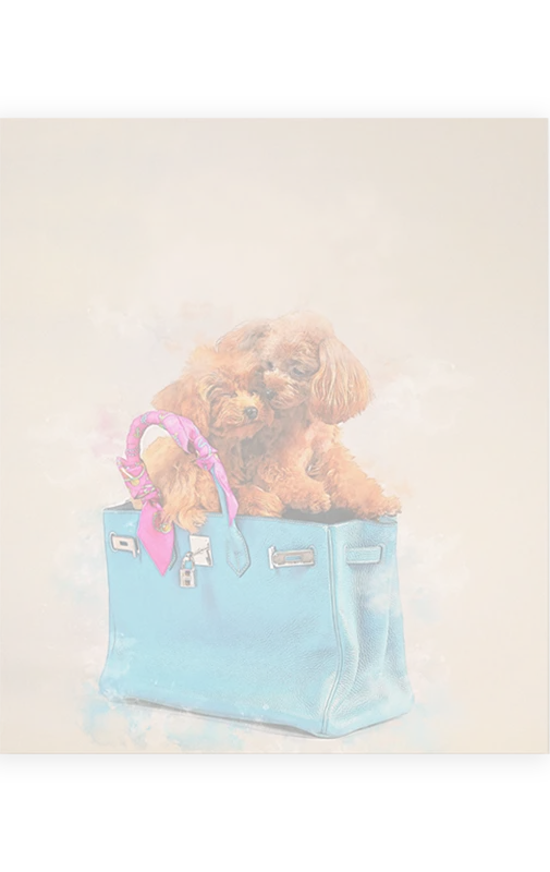 キャンバス｜canvas