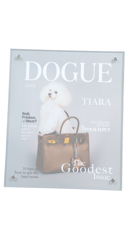 アクリルプレート｜Acrylic plate