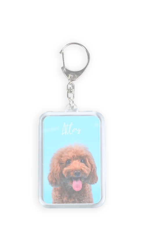 キーホルダー｜Keyholder